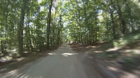 POV - drive on road through forest Video stock 8808274