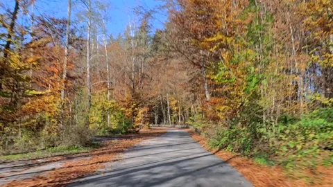 POV drive on a small road through beautiful autumn landscape Stock Footage 294977689