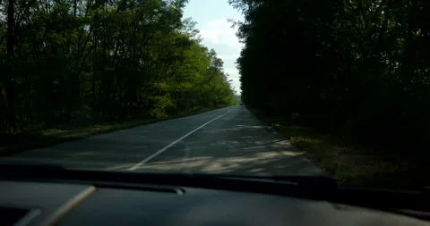 POV Driving Car Through Forest Wood. Windshield Dashboard. Rural Country Road 4K Stock Footage 206776193