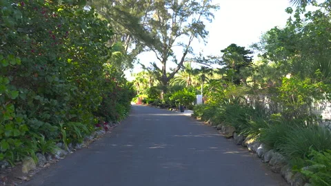 POV driving on Casey Key scenic road in sunny Florida. Stock Footage 287051883