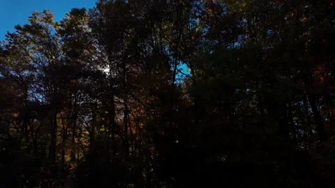 POV of driving close to sideroad of highway surrounded by vibrant autumn trees Stock Footage 321450222