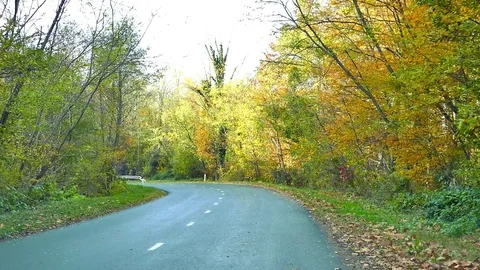 POV of driving down a road during the day in autumn 動画素材 85198746