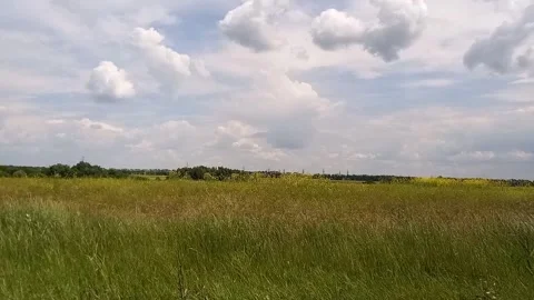 POV driving fast past blooming yellow rapeseed field from car window Stock Footage 337375859