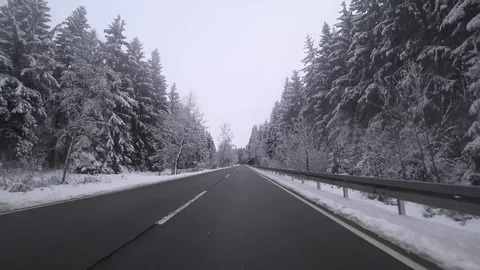 POV Driving in a forest in winter Video stock 85102692