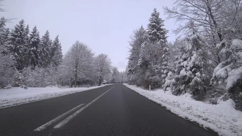 POV Driving in a forest in winter Stock Footage 86611725