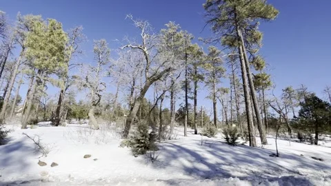 POV Driving Mingus Loop Prescott Arizona in Winter Snow 스톡 동영상 296352585