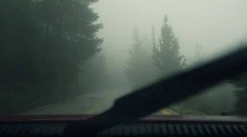 Pov driving mountain road pine trees,winter rain fog mist Stock Footage 48466172