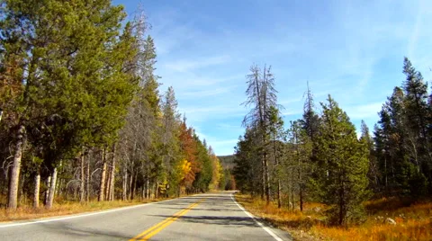 POV driving on mountain road, Uinta National Forest, Utah. Stock Footage 47227825