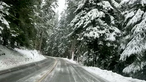 Pov driving on Mt Rainier in winter Stock Footage 235832009