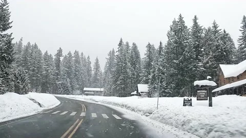 Pov driving on Mt Rainier in winter Stock Footage 235832011