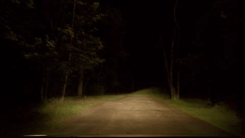 POV driving over bumpy road in dark woods at night Stock Footage