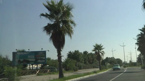 POV Driving, palm trees. Stock Footage 32193464