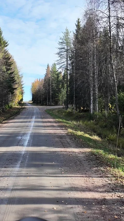 POV Driving Past Forest Intersection on Gravel Road in Sweden Stock Footage 340405580