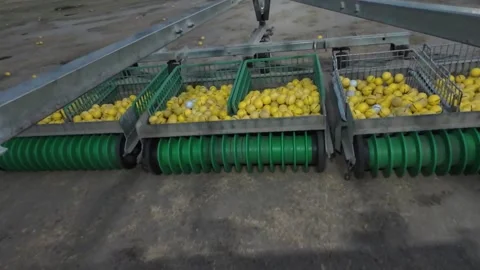 POV Driving Range Picker Stock Footage 311382732