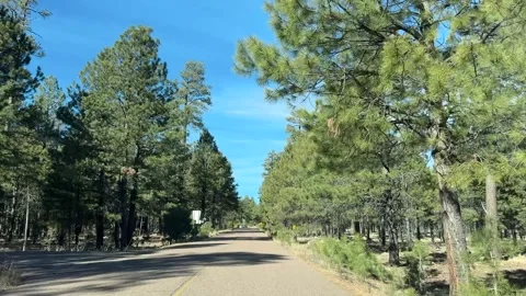 POV Driving Route to Willow Spring Lake in Payson Video stock 326178955