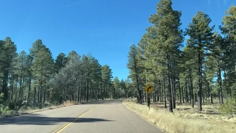 POV Driving on Route to Willow Spring Lake in Payson 스톡 동영상 326179048