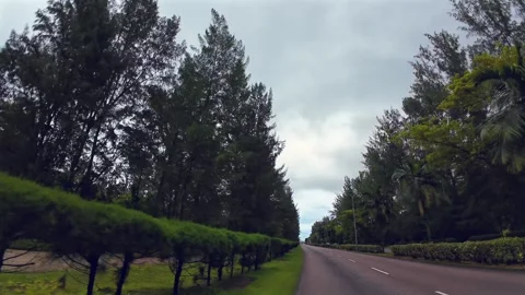 POV Driving Seychelles' Only Highway on Mahe Island 库存影片 339770877