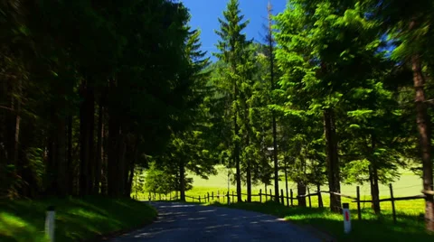 POV. Driving through alpine forest, Austria. 스톡 동영상 27968497