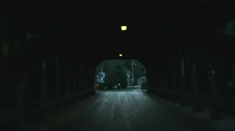 POV Driving Through Covered Bridge Stock-Footage 11828223