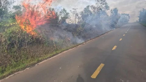 POV driving through forest fire on motorcycle on the road in Dak Nong, Vietnam Stock Footage 232648328