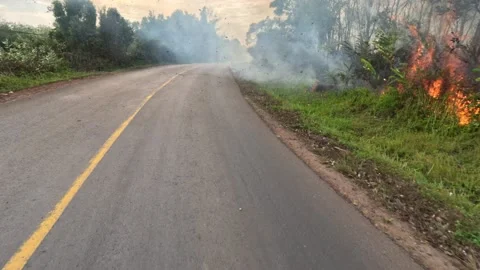 POV driving through forest fire on motorcycle on the road in Dak Nong, Vietnam Stock Footage 232648337