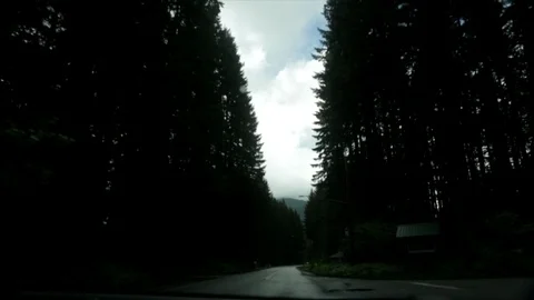 POV driving through forest road in Cascade Mountains. Stock Footage 86757552