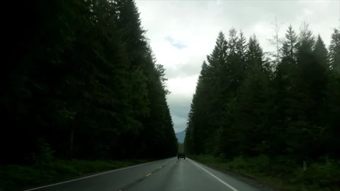 POV driving through forest road in Cascade Mountains. Stock Footage 86757580
