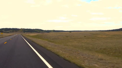 POV Driving through open meadow in Kiabab forest Stock Footage 63748668