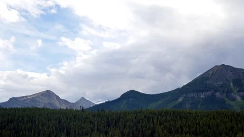 Pov Driving Through A Pine Forest In Mountains. Stock Footage 120018964