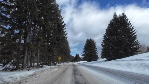 POV Driving Through Snowy Pine Forest Road in Tomamu Hokkaido Japan Video stock 333588517