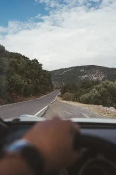 POV driving view through pine forest road on a sunny day Stock Photos