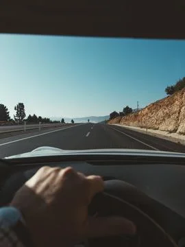 POV driving view through pine forest road on a sunny day Stock Photos