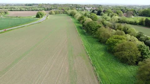 Pov Drone Flight Along Young Wheat Crop Edge of Tree Lined Field Uk Farming Stock Footage 192558905