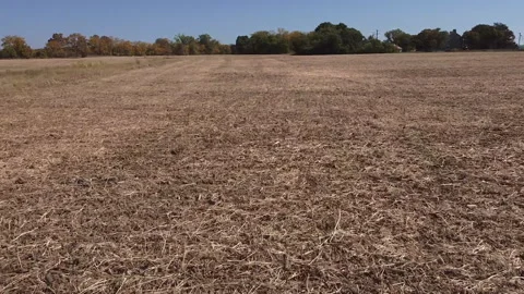 POV drone running through a field then flying into the sky Stock-Footage 147957314
