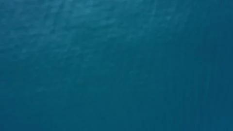 Pov drone shot spinner dolphins Stock Footage 280693545