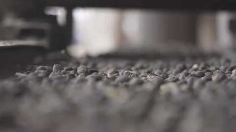 POV of dry coffee passing through the production line mat, selective focus Stock Footage 163426904
