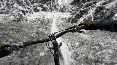 POV: Dynamic first-person view of riding through a winter forest, riding along Stock-Footage 318208515
