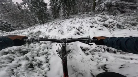 POV: Dynamic first-person view of riding through a winter forest, riding along Stock-Footage 318208566
