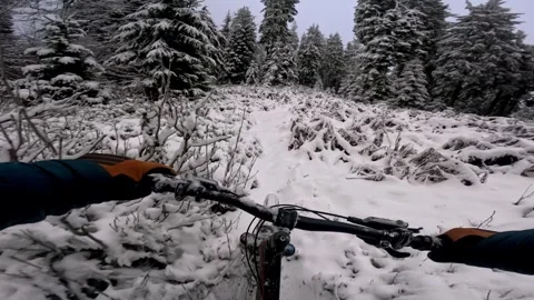 POV: Dynamic first-person view of riding through a winter forest, riding along Stock-Footage 318208586