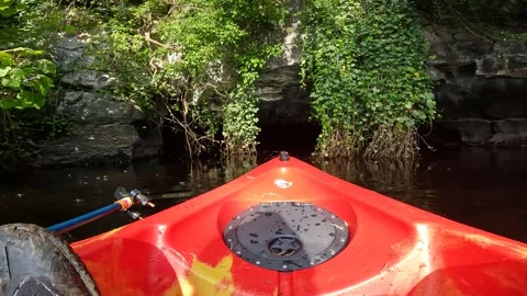 POV Entering Cave system through Ivy Vines Stock Footage 243593930