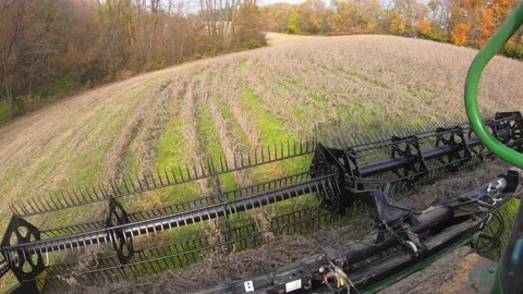 POV of farmer using a combine and a belted soybean header to harvest beans Stock Footage 165585875