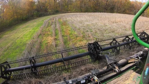 POV of farmer using a combine and soybean header to harvest beans on the Stock Footage 165586048