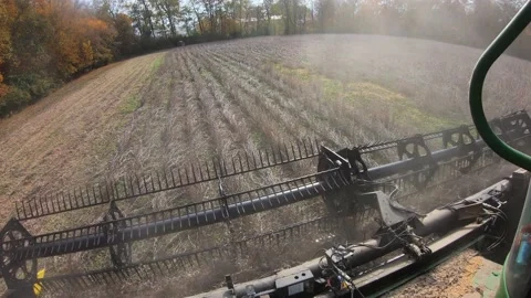 POV of farmer using a combine and belt-feed soybean header to harvest Stock Footage 166817335