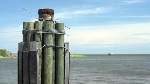 POV from a ferry at sea Stock Footage 66762960