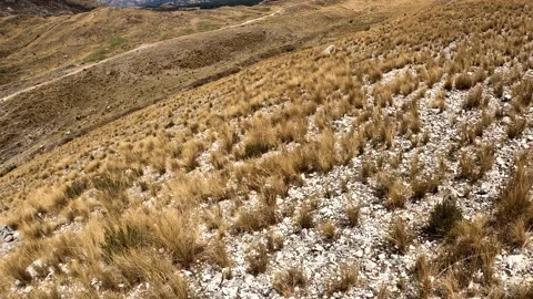 Pov first person view going down a steep mountain with stones and vegetation on Stock Footage 164605039