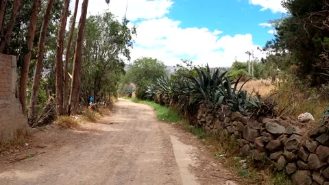 Pov first person view running and climbing overland in the Peruvian highlands of 库存影片 164585206