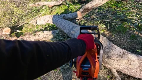 POV First Person View of Worker Cutting Fallen Tree Trunk with Orange Chainsaw Stock Footage 327768926