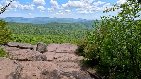 POV First Person Walking Through Bushes to Steep Mountain Cliff Ledge Overlook Stock Footage 336555914