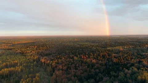 POV flight in the direction of the rainbow over the forest at sunset Stock Footage 130115076