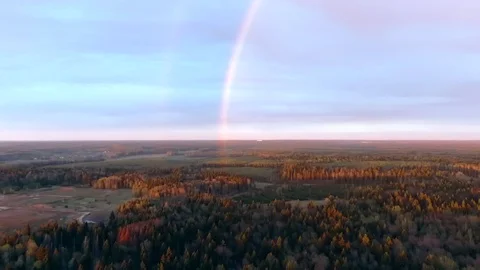POV flight in the direction of the rainbow over the forest at sunset Video stock 130115203